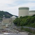 494-3.jpg