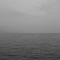 495-1.jpg
