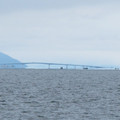 501-1.jpg