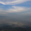 503-2.jpg