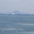 539-1.jpg