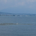 539-3.jpg