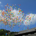 543-3.jpg