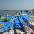 545-3.jpg