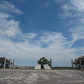 547-2.jpg
