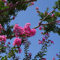549-2.jpg