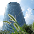 550-2.jpg