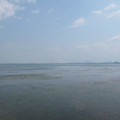 551-1.jpg