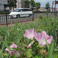 551-2.jpg