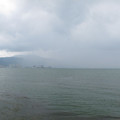 554-1.jpg