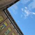 556-1.jpg