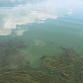 557-2.jpg