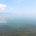 557-3.jpg