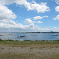 558-2.jpg