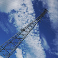 559-3.jpg
