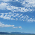 560-1.jpg