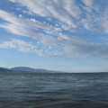 560-3.jpg