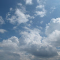 561-2.jpg