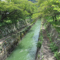 561-3.jpg