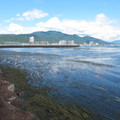 562-1.jpg
