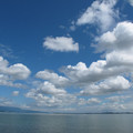 562-2.jpg