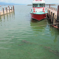 563-3.jpg