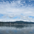 564-2.jpg