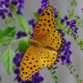 564-3.jpg