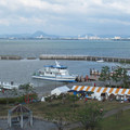 565-2.jpg