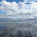 567-1.jpg