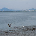 602-3.jpg