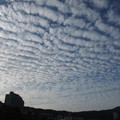609-1.jpg