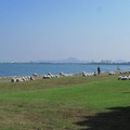 617-2.jpg