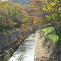 623-3.jpg