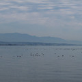 631-1.jpg