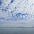 631-3.jpg