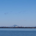 664-1.jpg