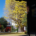 664-2.jpg