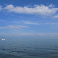665-1.jpg