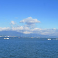668-1.jpg
