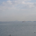 670-1.jpg