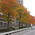 671-2.jpg