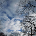 672-1.jpg