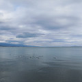 672-2.jpg