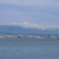 673-1.jpg