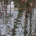 674-3.jpg