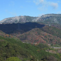 676-1.jpg