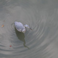 676-3.jpg
