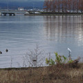 677-3.jpg