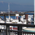 680-3.jpg